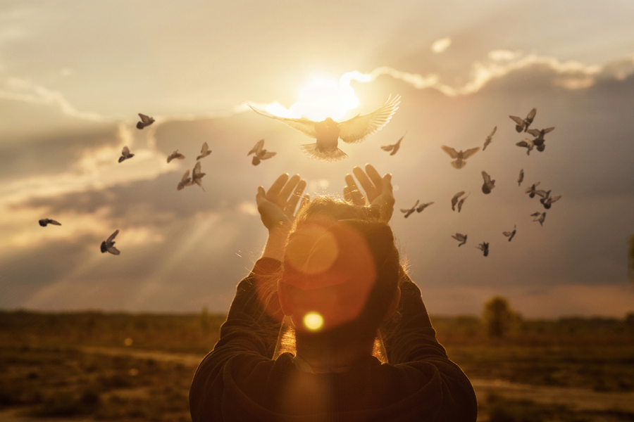 A woman in a field holds her hands out as birds fly in the sunshine, symbolizing forgiveness