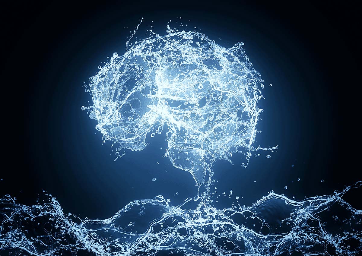 What is Wet Brain and Can it Be Cured? | Barn Life Recovery